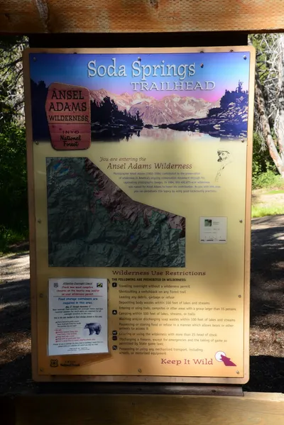 DSC_9886 (Large).JPG